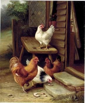 unknow artist Cocks 123 France oil painting art